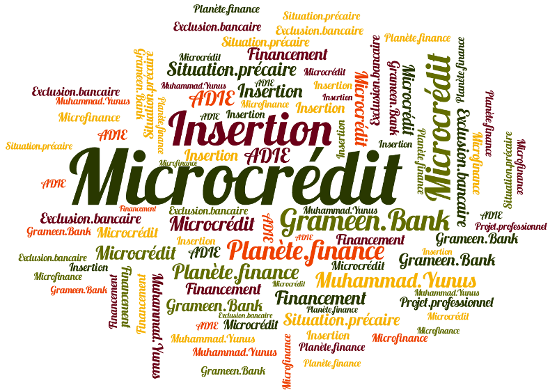 Institution de microfinance